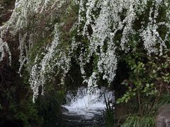-中国茶叶博物馆(双峰馆区)