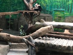 -灵玲国际马戏城