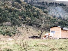 -硗碛藏寨·神木垒景区