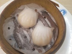 -纽斯特牛排自助餐厅(浦江万达店)