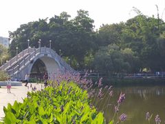-金砂公园