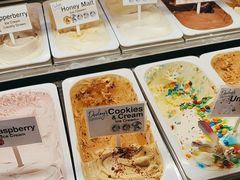 -Dooley's Premium Ice Cream