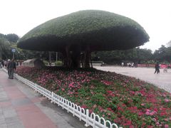 -南宁南湖公园