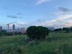 -红花山公园