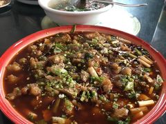 -y牌太安鱼