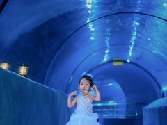 -太平洋海底世界