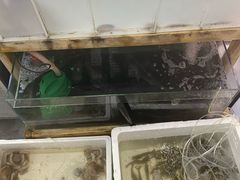 水产区-阿杰臻选海鲜饭店(普陀山店)