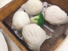嘉禧虾饺皇-嘉禧大酒楼(康城广场店)