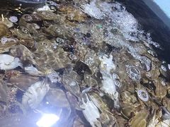 -聚盛源蒸汽海鲜火锅烤肉自助(巨川金海岸购物广场店)