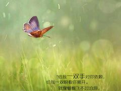 -W FITNESS 威尔仕健身·游泳(七宝店)