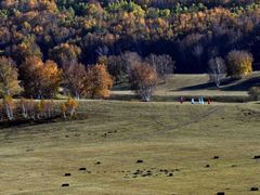 -塞罕坝国家级自然保护区