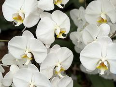 -沈阳植物园