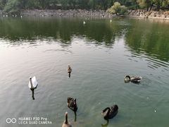 -石家庄市动物园