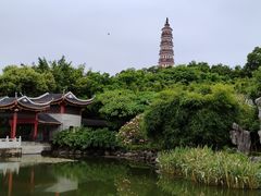 -顺峰山公园