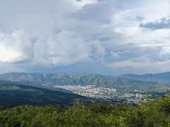 -长虫山生态公园风景林