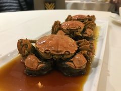 熟醉毛蟹-老正兴菜馆(福州路店)