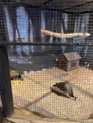 -酷嗒动物文化乐园(cutezoo西溪乐天城店)