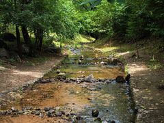-白水寺森林公园