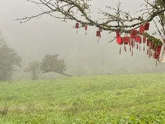 -硗碛藏寨·神木垒景区