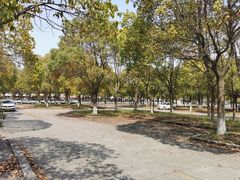 -安飞驰驾校·学车连锁(金高店)