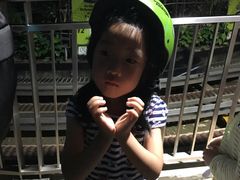 -圣淘沙天际线斜坡滑车