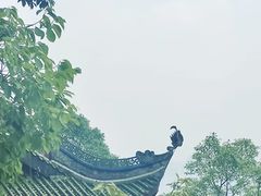 -道教老君洞
