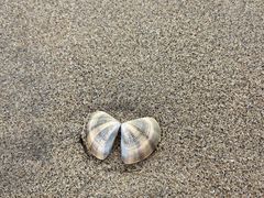 -万尾金滩