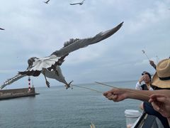 -海驴岛(荣成市)