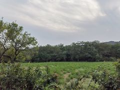 -大连铭湖国际观光牧场