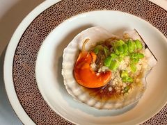 蚕豆粉丝蒸扇贝-许家菜(望江店)