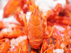 -阿木龙虾·烧烤涮肉羊蝎子(栖山路店)