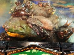 -皇朝海鲜酒店