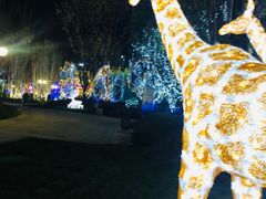 -周鱼小馆石锅酸菜鱼(活力汇店)