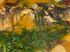 -清水亭湖北菜(大屯DT51店)