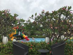 -西双版纳融创皇冠假日度假酒店