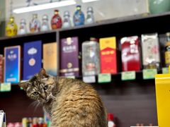 -协和菜馆(凤凰街店)