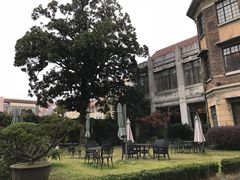 -大可堂普洱茶馆(襄阳南路馆)