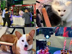 -东莞银行篮球中心