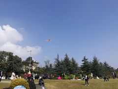 -铁山坪森林公园