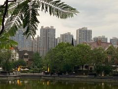 -成都南湖公园