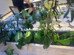 -志明眷村·台式融合菜·宵夜