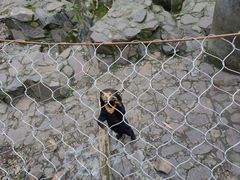 -杭州动物园
