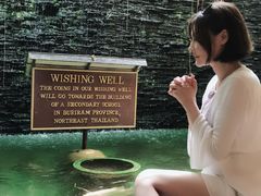 -卷心菜和避孕套餐厅(Pattaya)