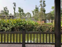 -枫香湖儿童公园