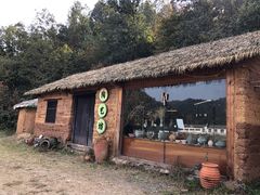 -千年银杏谷文化旅游区