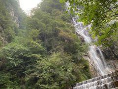 -石葵(锦业时代店)