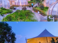 -悦见花开·花园里的火锅·露营·下午茶