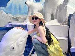 -秦皇岛乐岛海洋王国