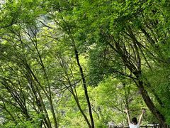 -少华山国家森林公园