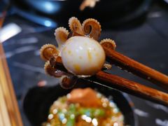 -东吴霸王兔(松青路店)